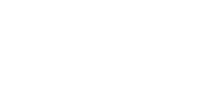 City Ballet of Boston site logo white